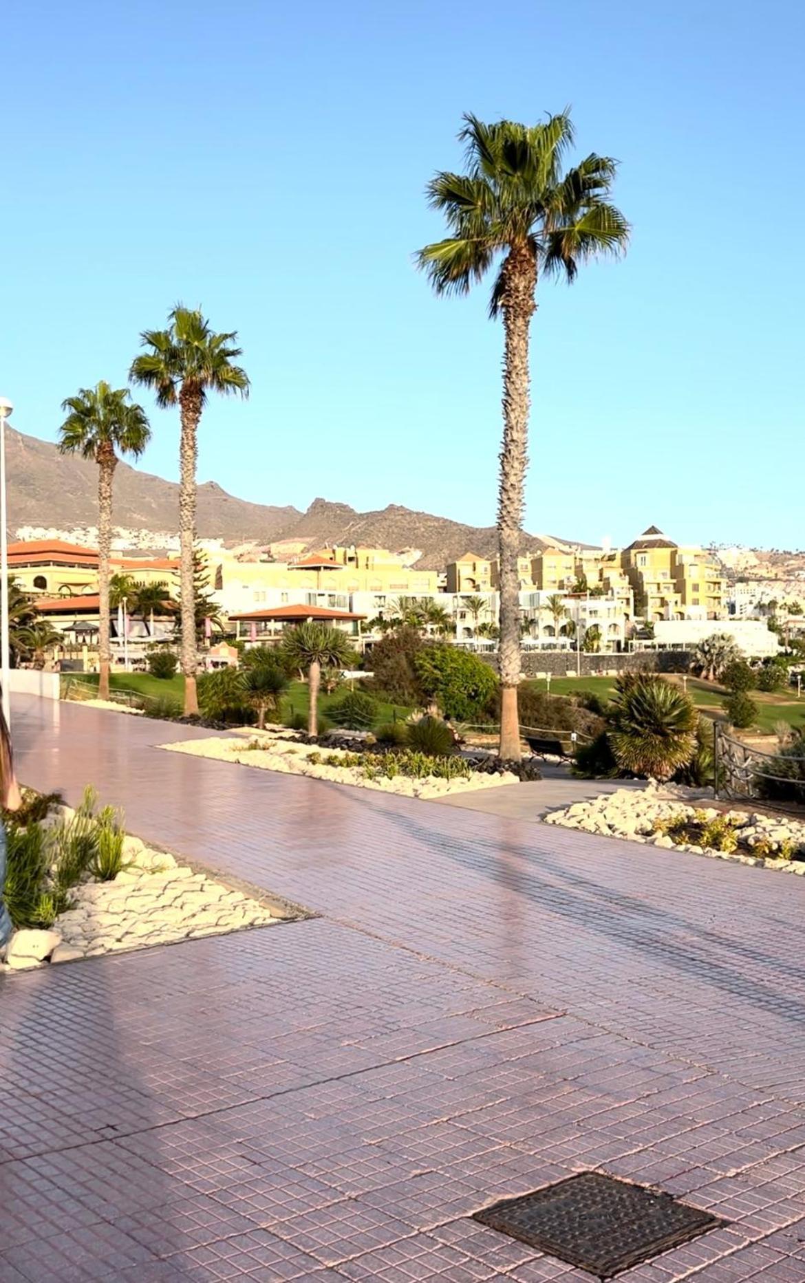 Lovely Sunny Apartment Costa Adeje (Tenerife) Exterior foto